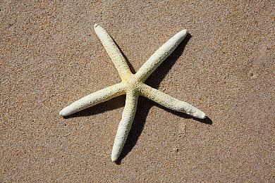 《007：曙光》也会走《杀手》那样的即时服务路线